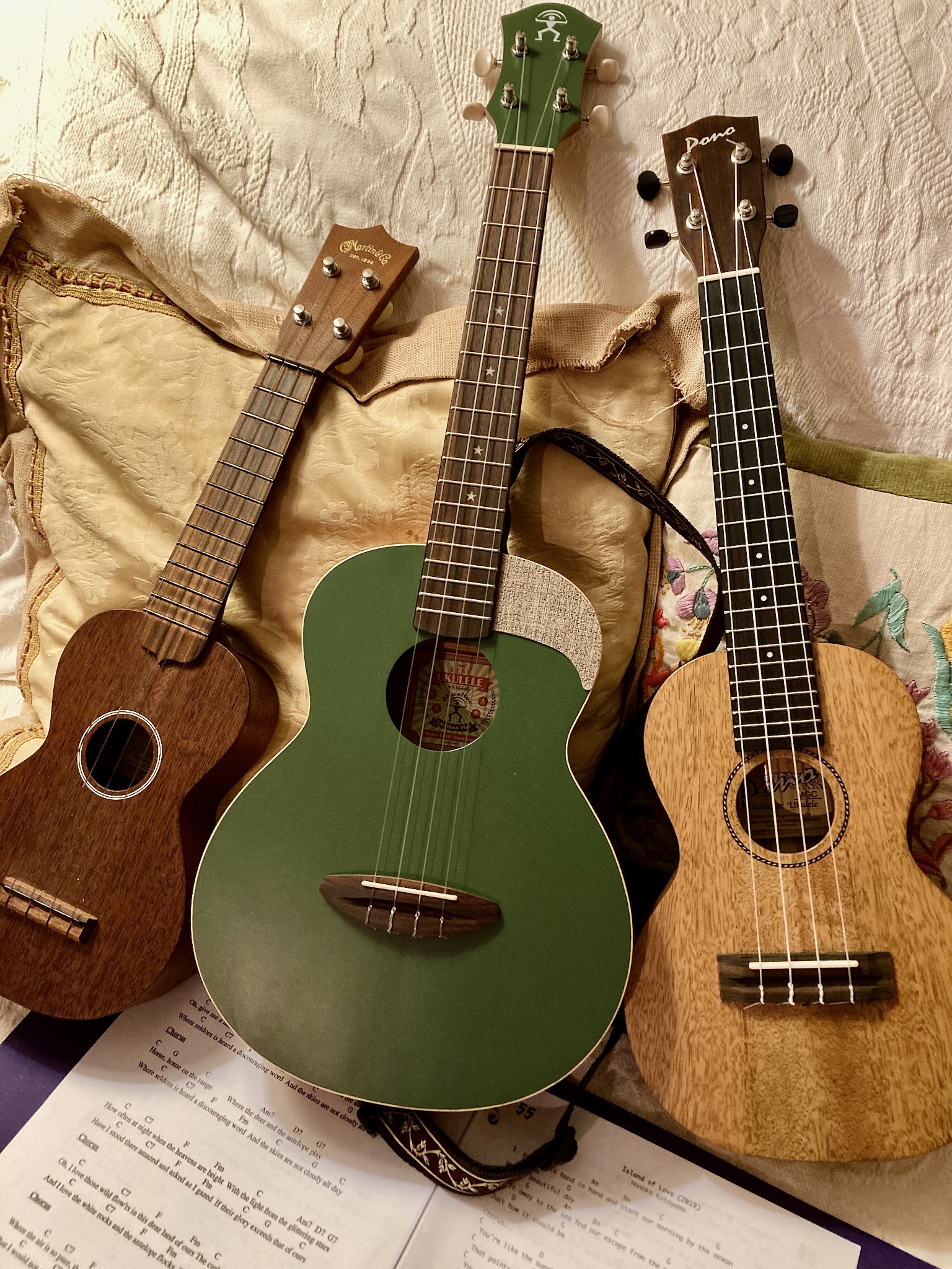 Three ukuleles of different sizes and styles.